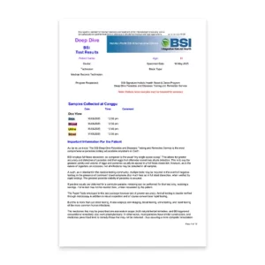 Deep Dive Lab Service