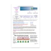 Spike Protein Lab Service