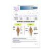 Dengue Fever Rapid Test